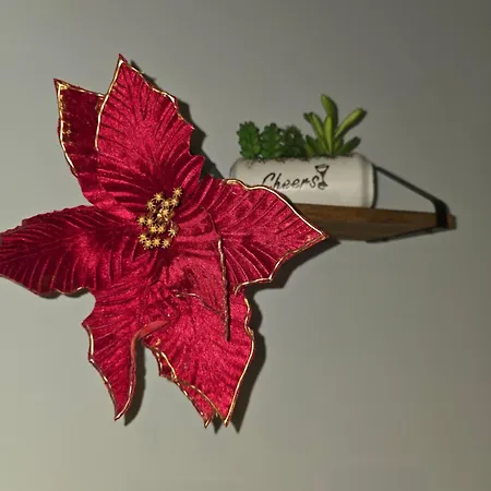 Gæstehus Historic Soul Palermo